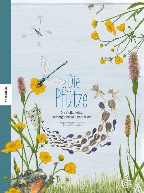 Cover: 9783957285300 | Die Pfütze | Die Vielfalt einer verborgenen Welt entdecken | Buch