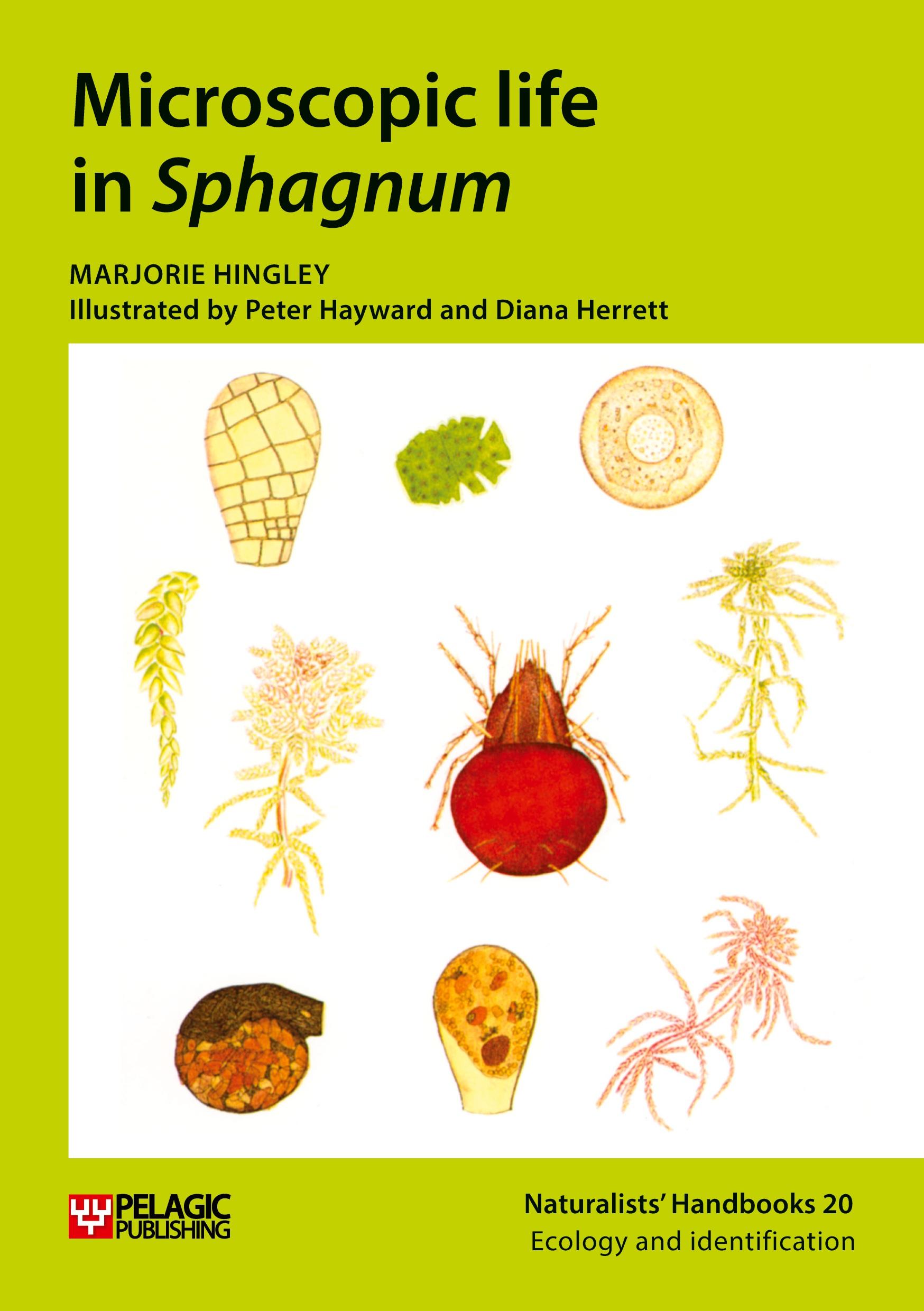 Cover: 9781784272739 | Microscopic life in Sphagnum | Marjorie Hingley | Taschenbuch | 2021