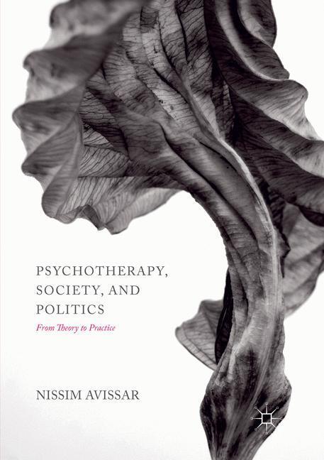 Cover: 9781349954094 | Psychotherapy, Society, and Politics | From Theory to Practice | Buch