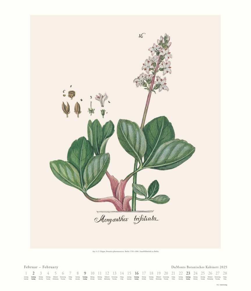 Bild: 4250809652986 | DUMONT - DUMONTS Botanisches Kabinett 2025 Wandkalender, 34,5x40cm,...