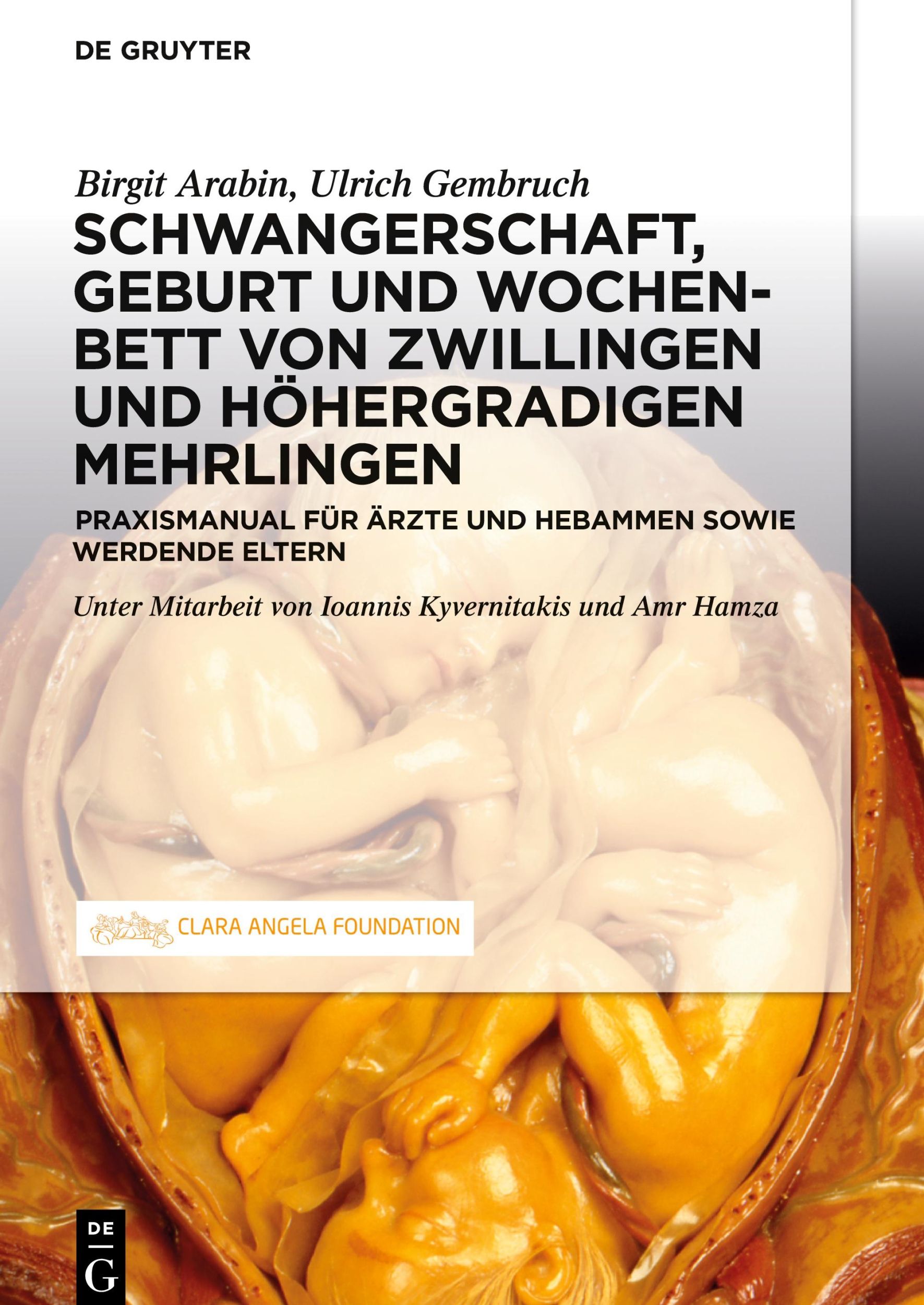 Cover: 9783110666359 | Schwangerschaft, Geburt und Wochenbett von Zwillingen und...