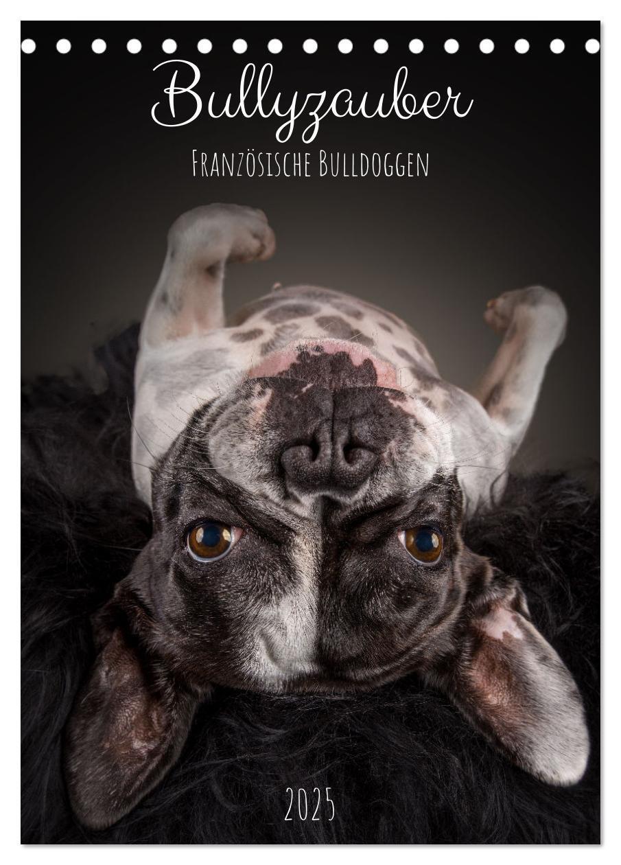 Cover: 9783435906413 | Bullyzauber - Französische Bulldoggen (Tischkalender 2025 DIN A5...