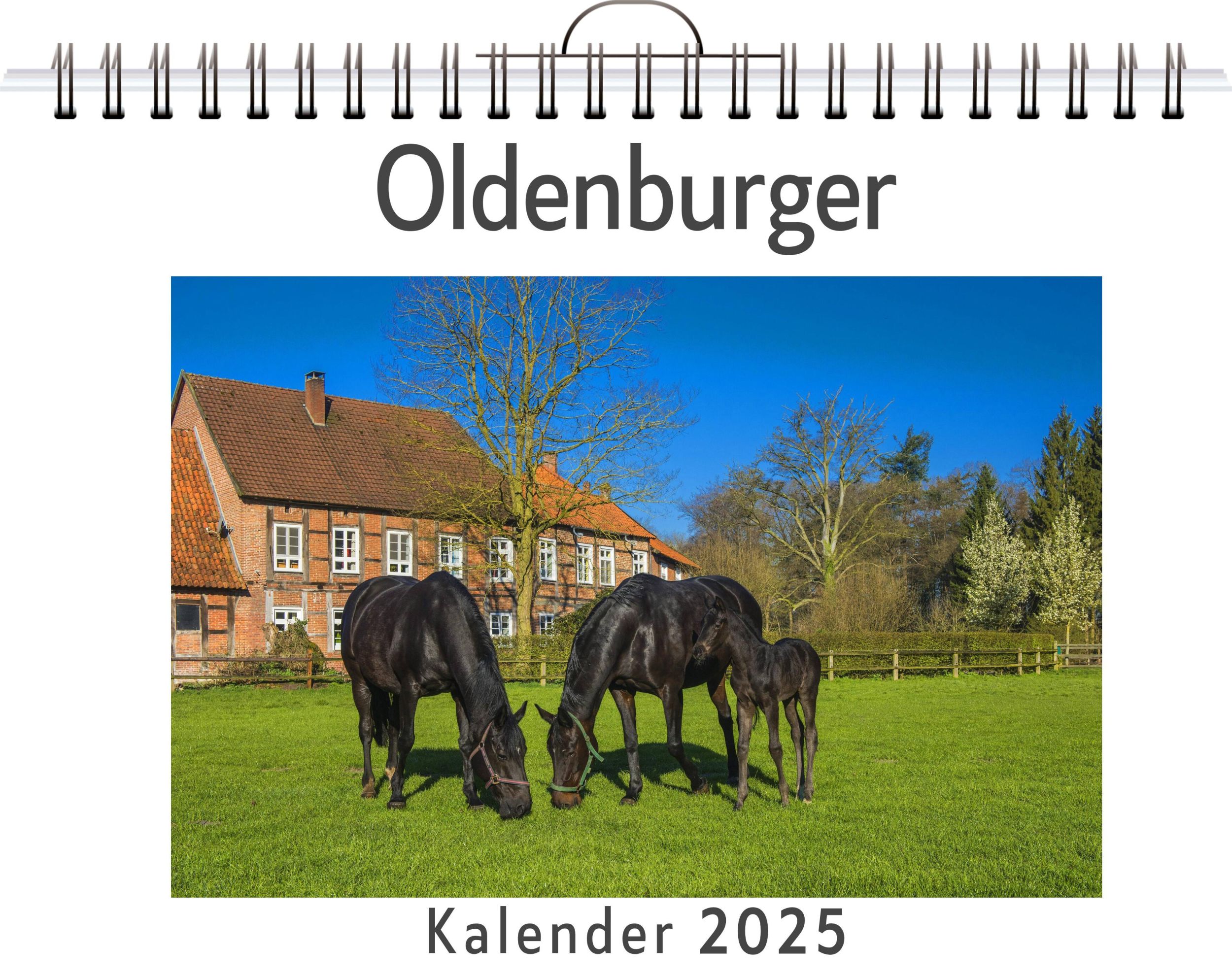 Cover: 9783759132154 | Oldenburger | Julian Bauer | Kalender | Kalender | 14 S. | Deutsch