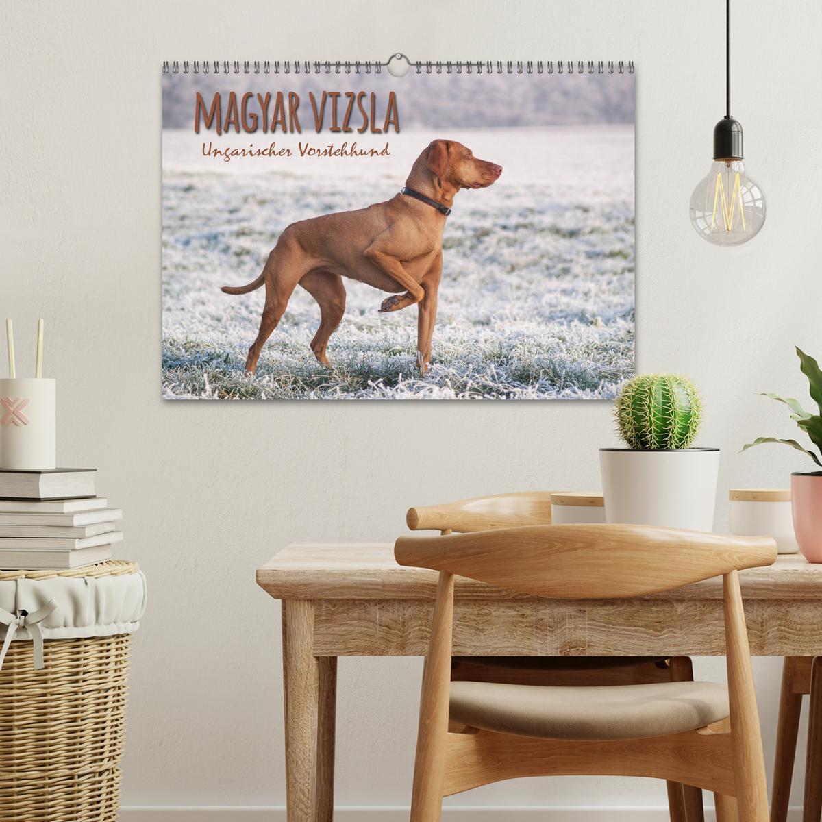 Bild: 9783435307432 | Magyar Vizsla - Ungarischer Vorstehhund (Wandkalender 2025 DIN A3...