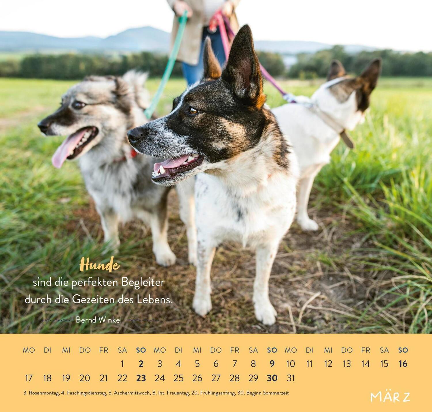 Bild: 4036442011867 | Wandkalender 2025: Für Hundefreunde | Groh Verlag | Kalender | 12 S.