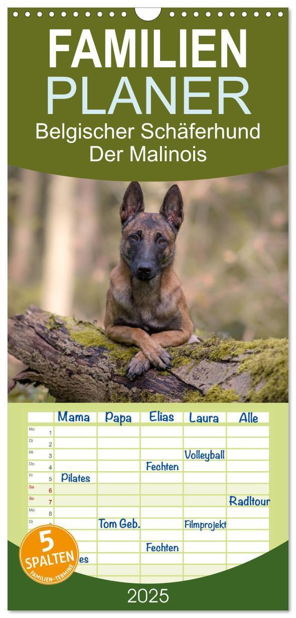 Cover: 9783457117798 | Familienplaner 2025 - Belgischer Schäferhund - Der Malinois mit 5...