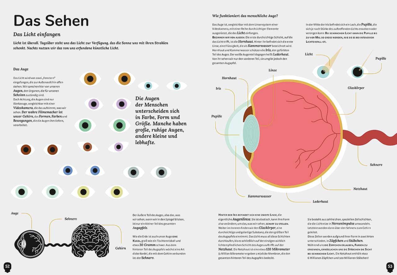 Bild: 9788863123838 | Der menschliche Körper | Cristina Peraboni | Buch | 72 S. | Deutsch