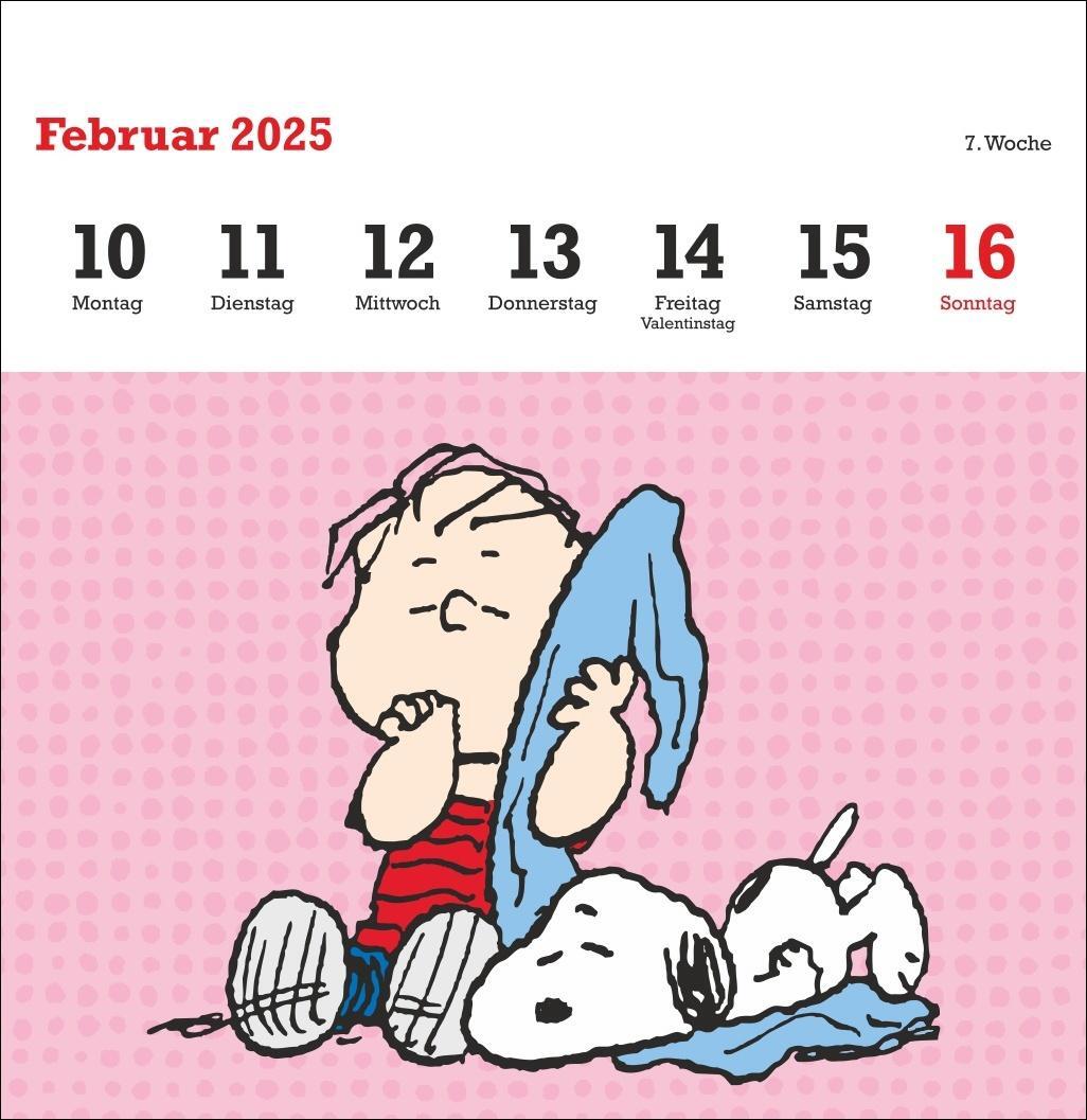 Bild: 9783756408078 | Peanuts Premium-Postkartenkalender 2025 | Heye | Kalender | 54 S.