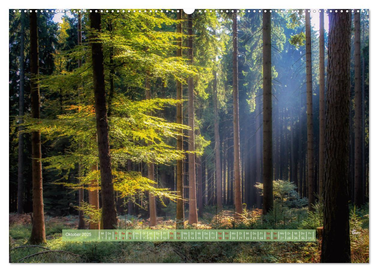 Bild: 9783383893599 | Zauber des Lichts (Wandkalender 2025 DIN A2 quer), CALVENDO...