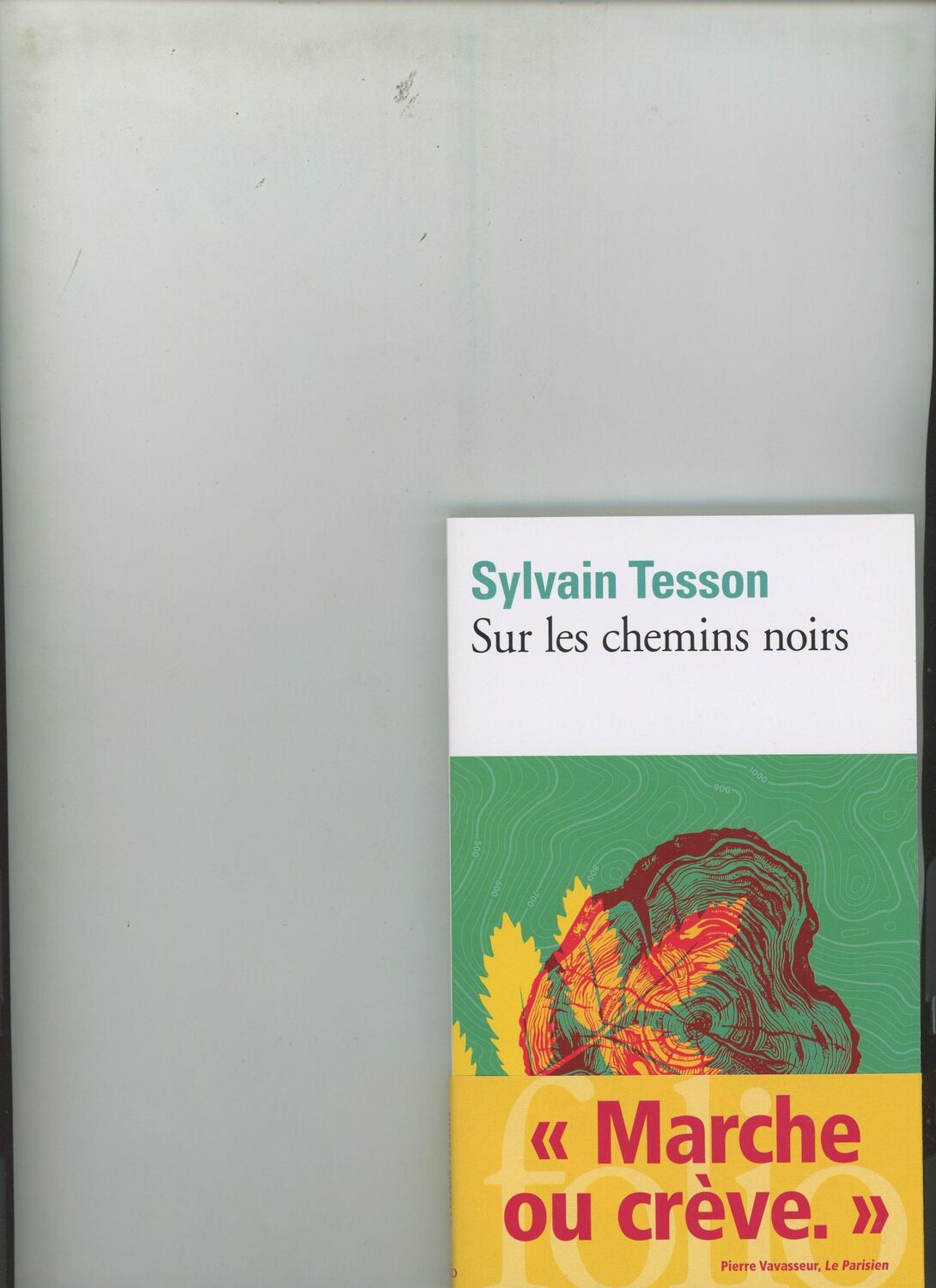 Cover: 9782072823428 | Sur les chemins noirs | Sylvain Tesson | Taschenbuch | 178 S. | 2019