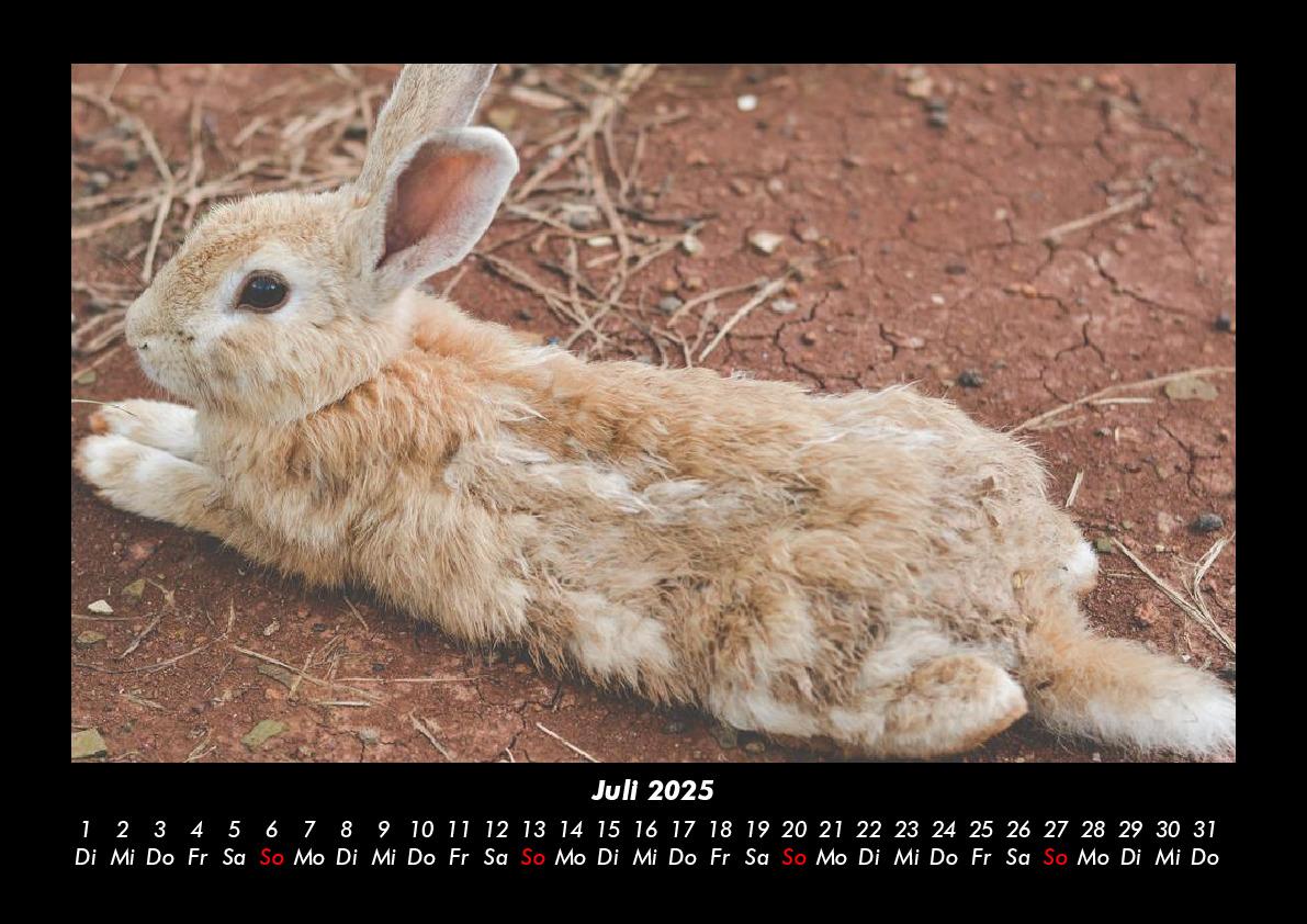 Bild: 9783755980223 | Haustierkalender 2025 Fotokalender DIN A3 | Tobias Becker | Kalender