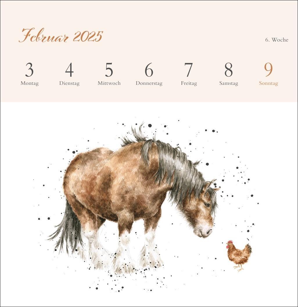 Bild: 9783756408641 | Hannah Dale: Happy Animals Premium-Postkartenkalender 2025 | Kalender