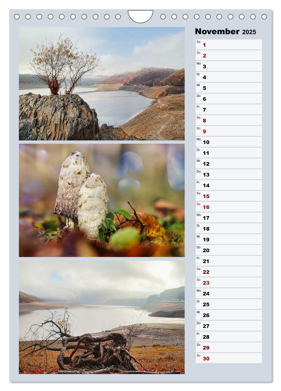 Bild: 9783457146224 | Harmonie der Farben in Landschaft und Natur (Wandkalender 2025 DIN...