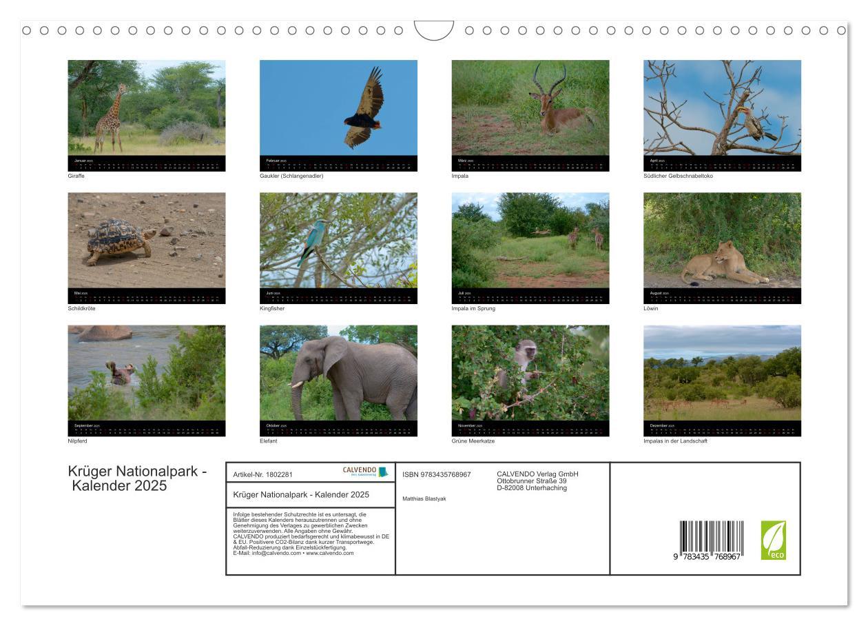 Bild: 9783435768967 | Krüger Nationalpark - Kalender 2025 (Wandkalender 2025 DIN A3...