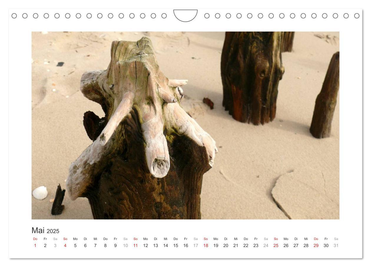 Bild: 9783435480210 | Wangerooge. Der Charme des Ostanlegers (Wandkalender 2025 DIN A4...