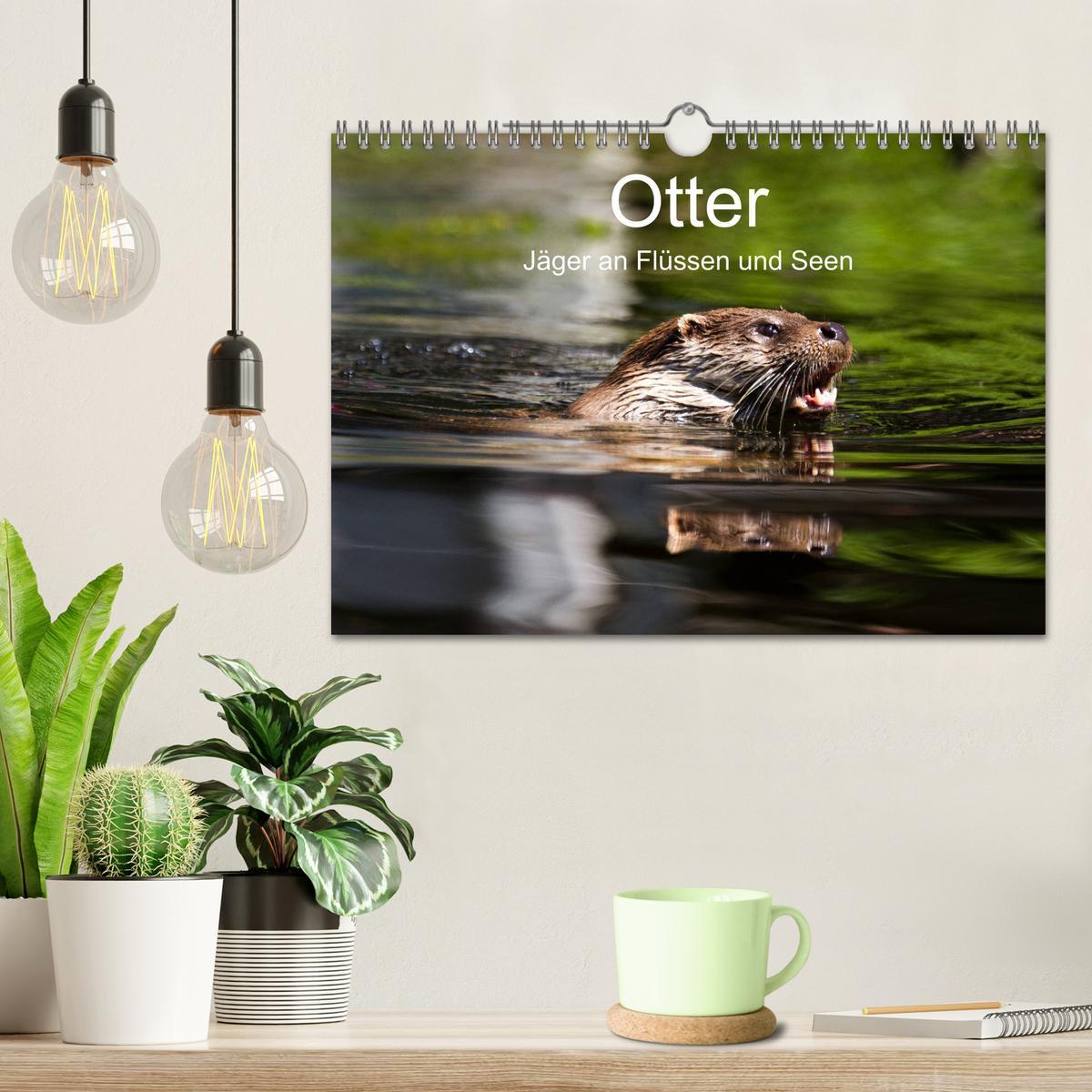 Bild: 9783435380053 | Otter - Jäger an Flüssen und Seen (Wandkalender 2025 DIN A4 quer),...