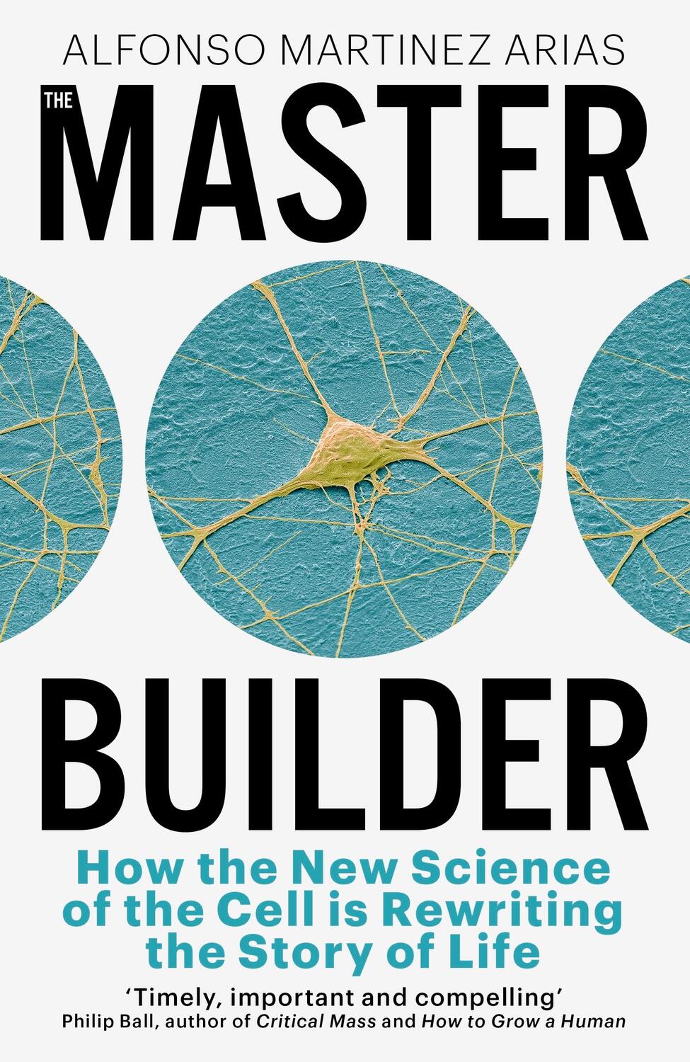 Cover: 9781399809948 | The Master Builder | Alfonso Martinez Arias | Taschenbuch | Englisch