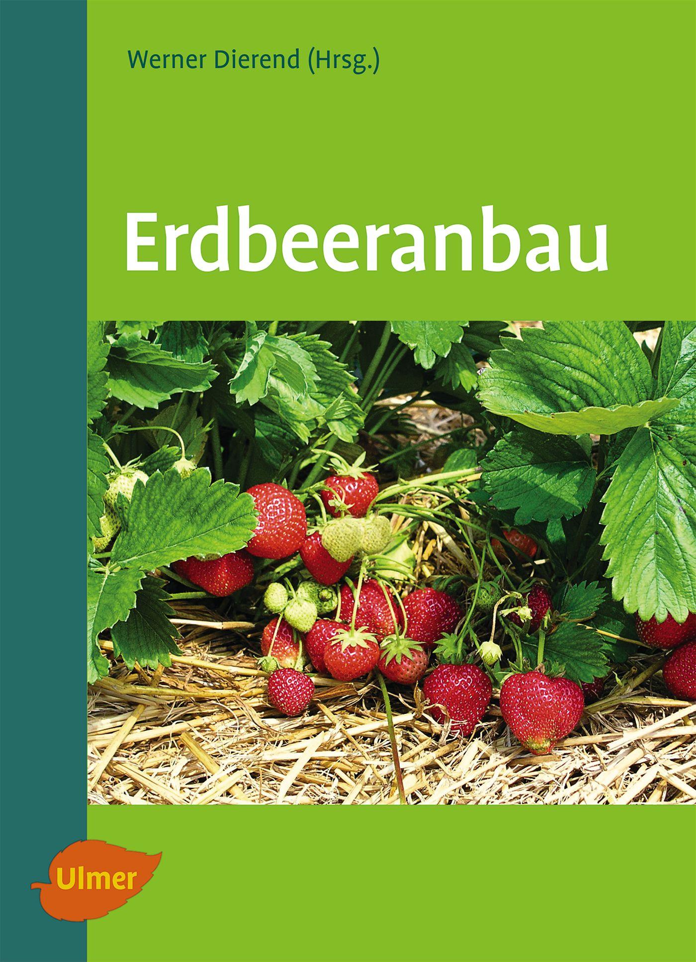 Cover: 9783800159826 | Erdbeeranbau | Werner Dierend (u. a.) | Taschenbuch | 187 S. | Deutsch