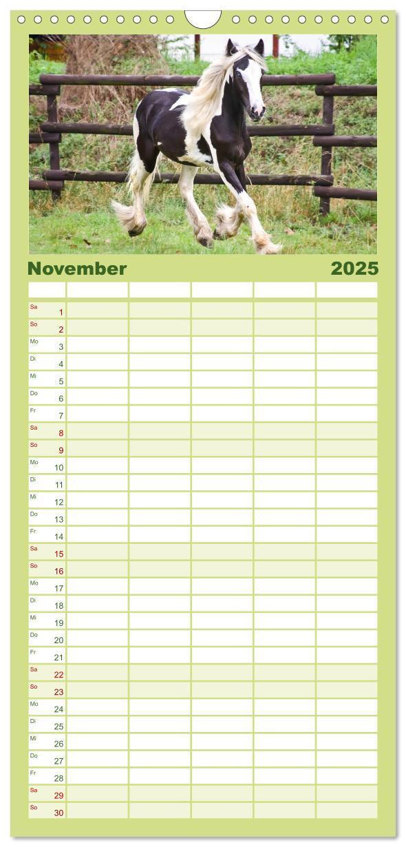 Bild: 9783457113738 | Familienplaner 2025 - Irish Tinker mit 5 Spalten (Wandkalender, 21...