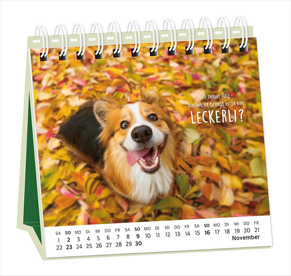 Bild: 9783986360948 | Tischkalender 2025 Happymacher | Tischkalender | Original | Kalender