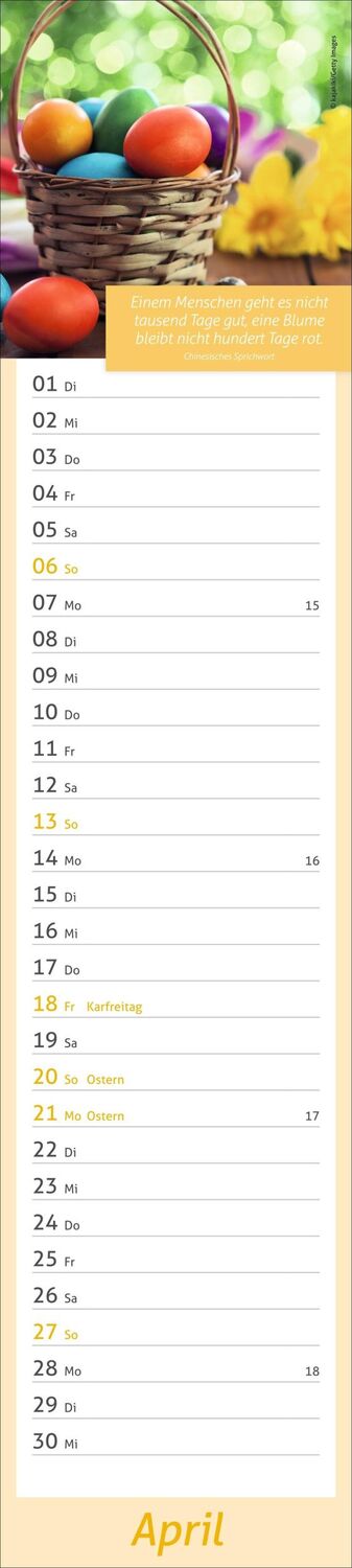 Bild: 9783756406715 | Tage voller Glück Langplaner 2025 | Heye | Kalender | Spiralbindung