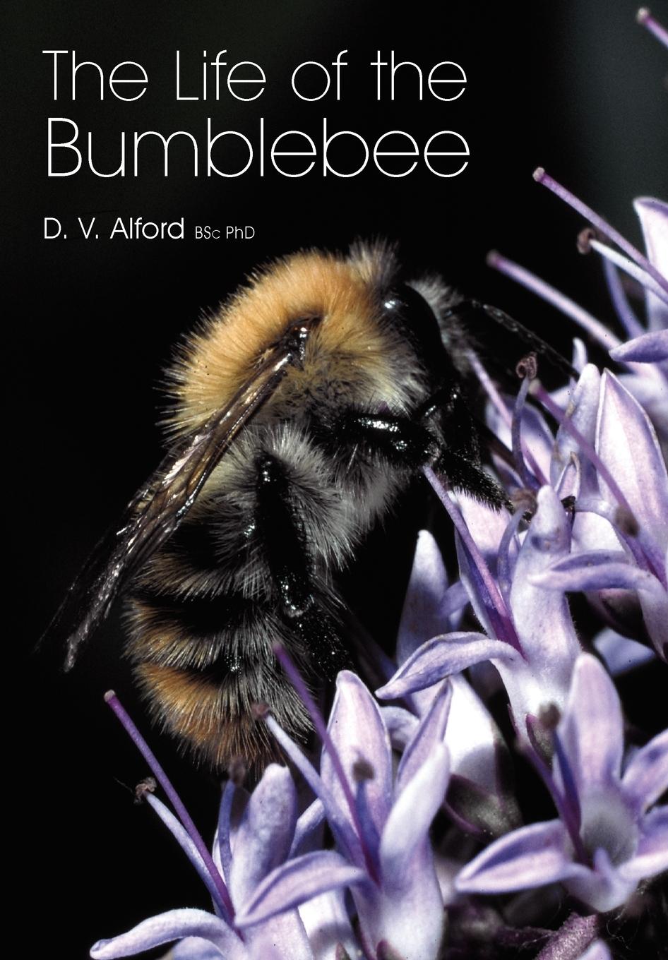 Cover: 9781904846420 | The Life of the bumblebee | D V Alford | Taschenbuch | Englisch | 2009