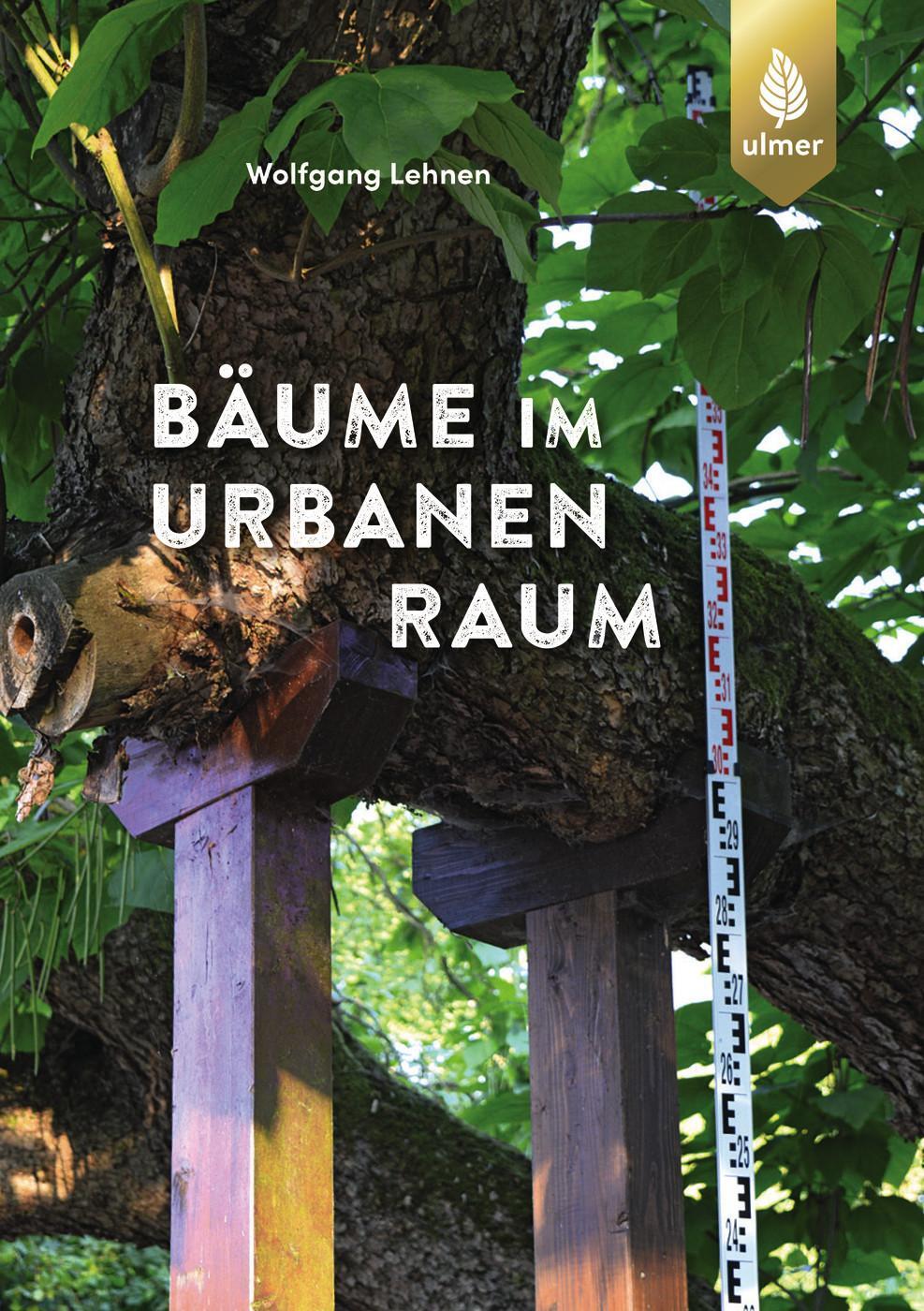 Cover: 9783818624026 | Bäume im urbanen Raum | Wolfgang Lehnen | Taschenbuch | 96 S. | 2024