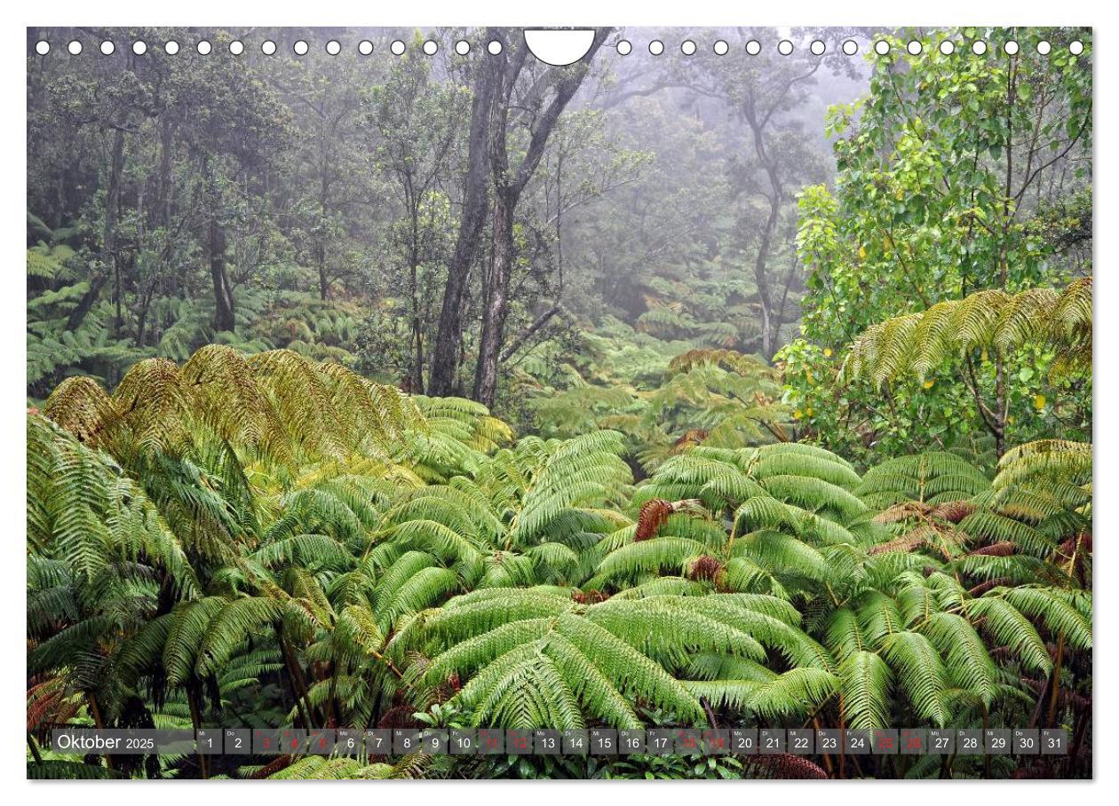 Bild: 9783435812936 | The Big Island of Hawaii (Wandkalender 2025 DIN A4 quer), CALVENDO...