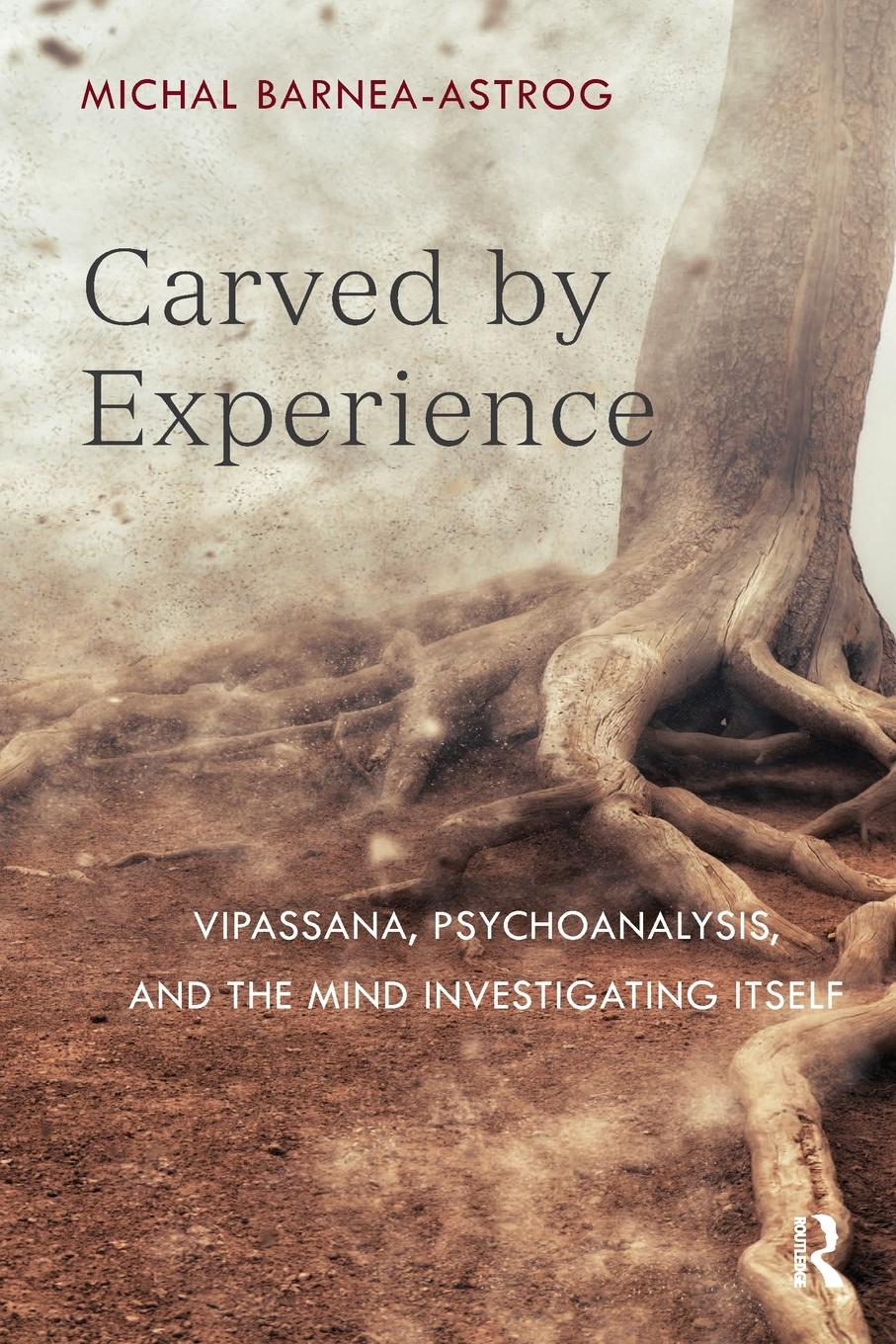 Cover: 9781782204503 | Carved by Experience | Michal Barnea-Astrog | Taschenbuch | Englisch