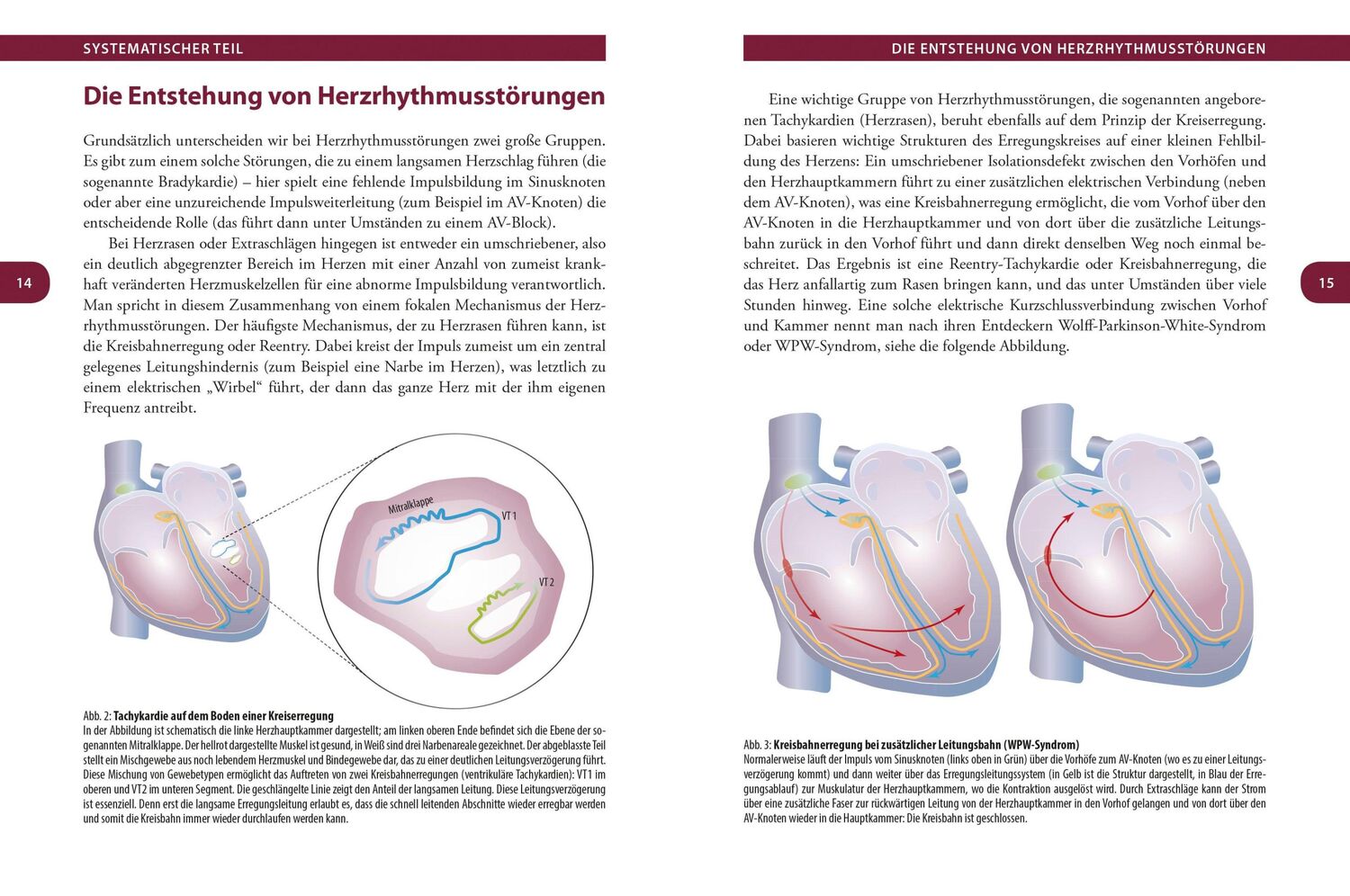 Bild: 9783517096780 | Herzrhythmus - Der Takt des Lebens. Herzrhythmusstörungen verstehen...