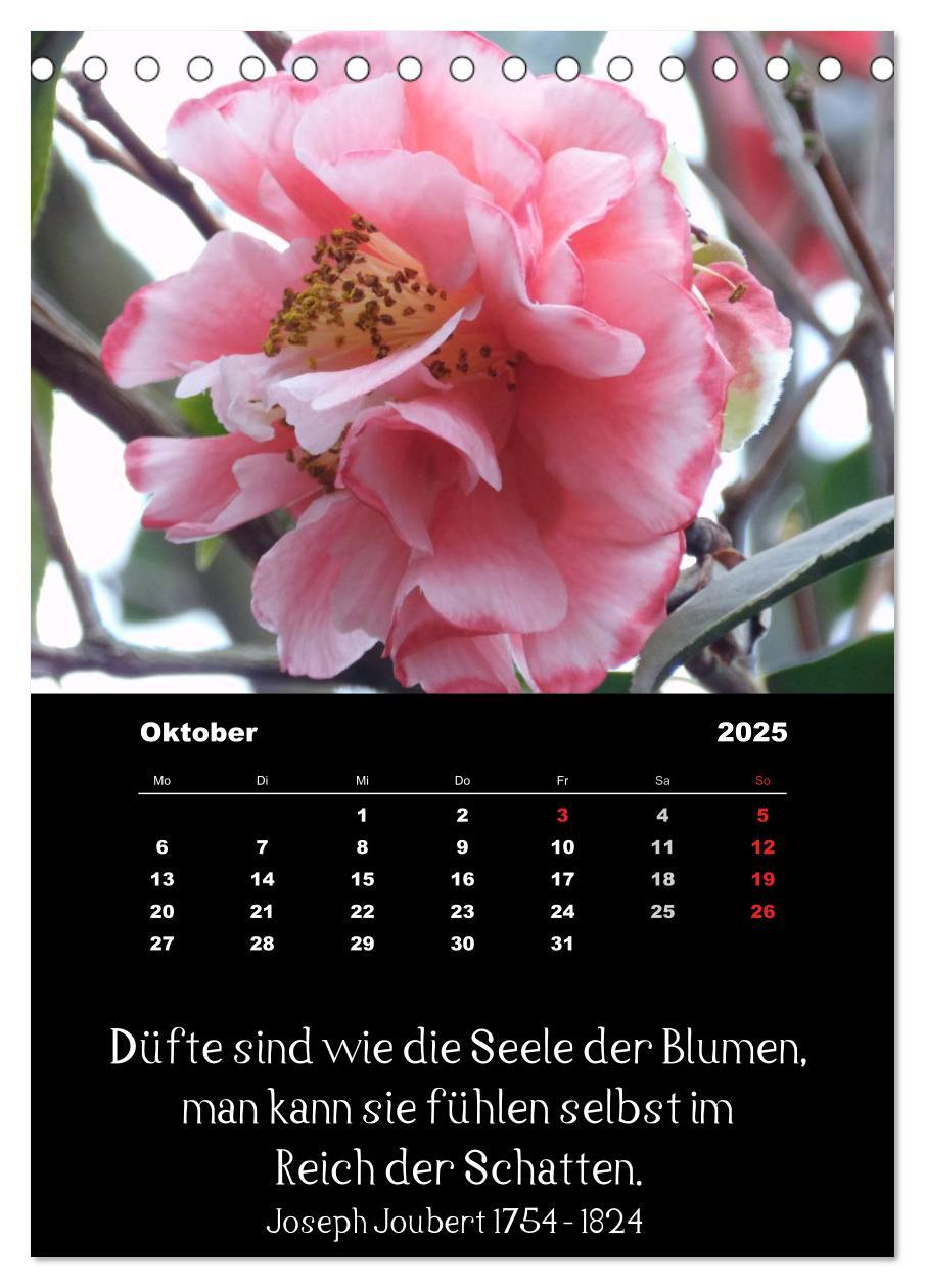 Bild: 9783457085660 | Sprüche und Zitate berühmter Personen über Blumen und Natur...