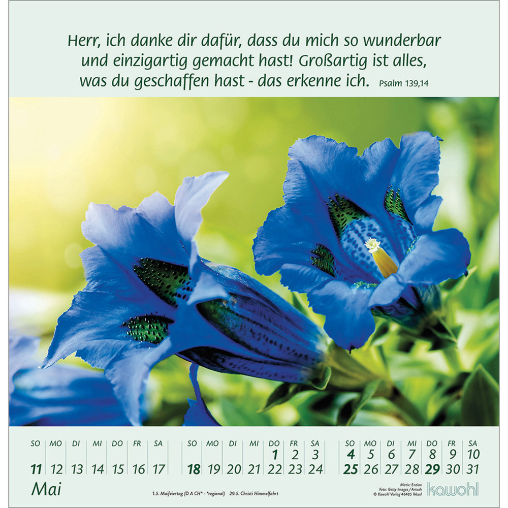 Bild: 9783754826058 | Blumengrüße 2025 | Kalender mit Bibelworten und Blumenbildern | 14 S.