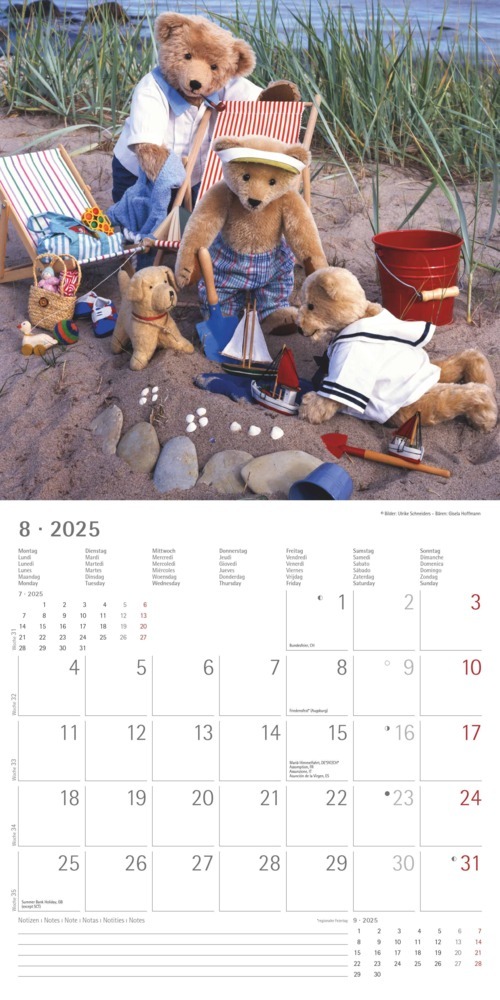 Bild: 4251732340643 | Alpha Edition - Teddy 2025 Broschürenkalender, 30x30cm,...