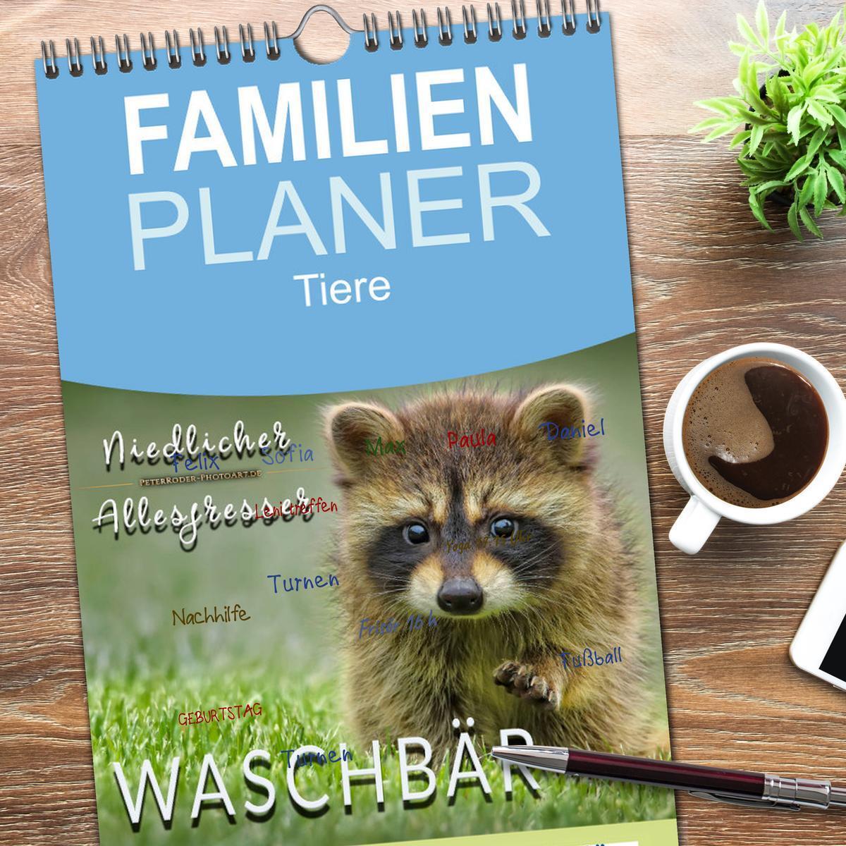 Bild: 9783457121931 | Familienplaner 2025 - Waschbär - Niedlicher Allesfresser mit 5...