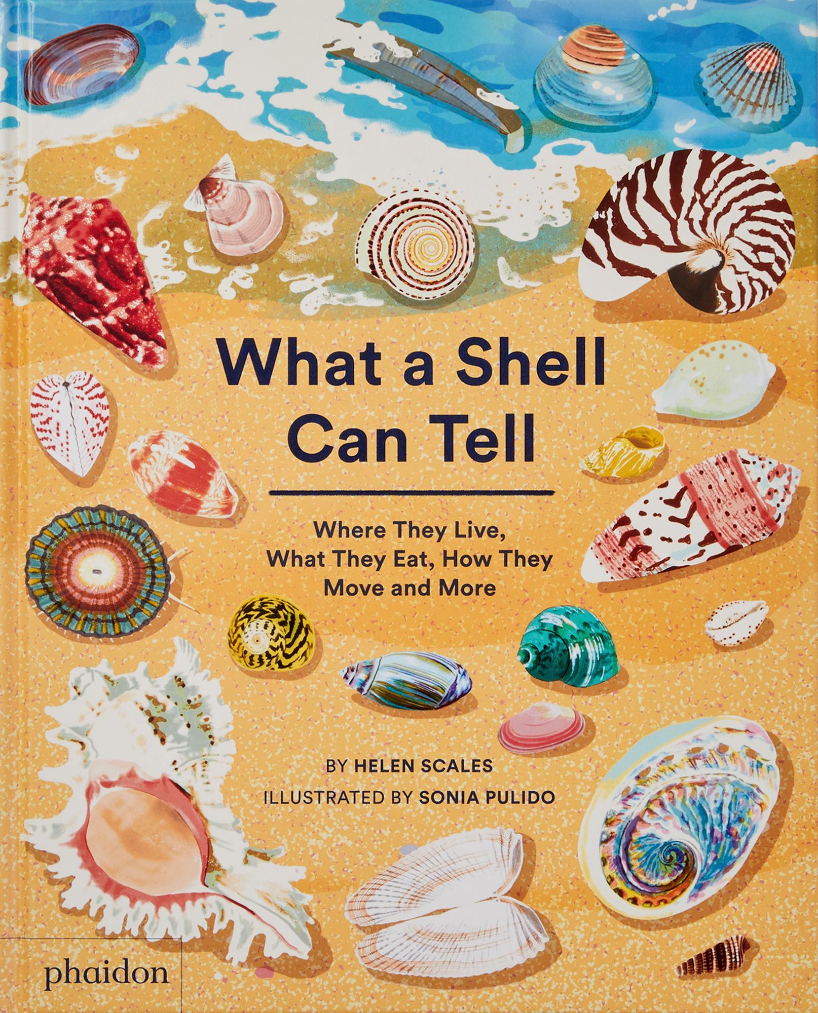 Cover: 9781838664305 | What A Shell Can Tell | Helen Scales (u. a.) | Buch | 48 S. | Englisch