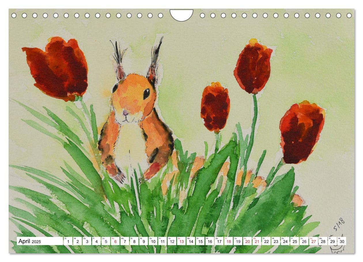 Bild: 9783435415663 | Eichhörnchen in Aquarell (Wandkalender 2025 DIN A4 quer), CALVENDO...