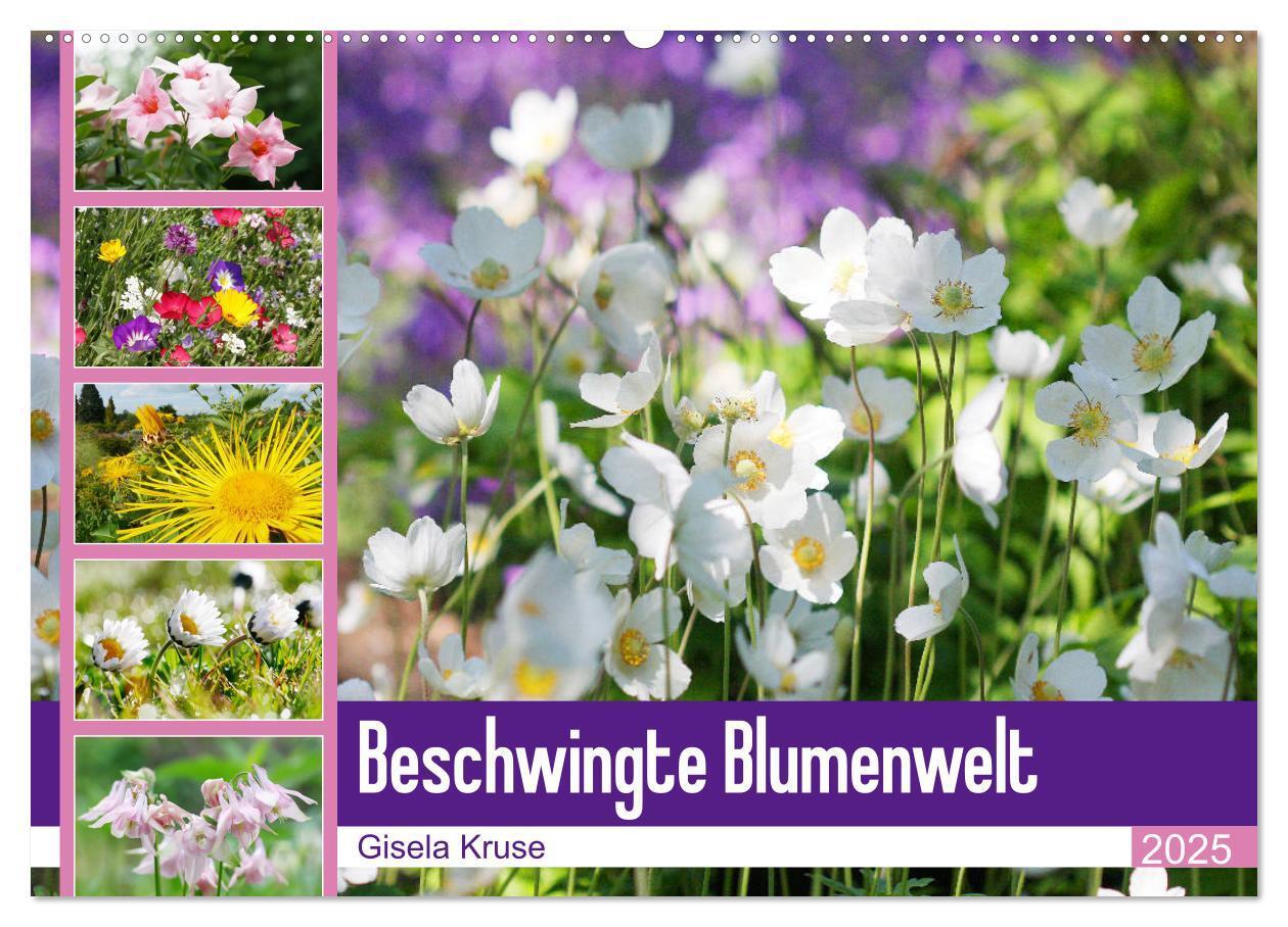 Cover: 9783435172122 | Beschwingte Blumenwelt (Wandkalender 2025 DIN A2 quer), CALVENDO...