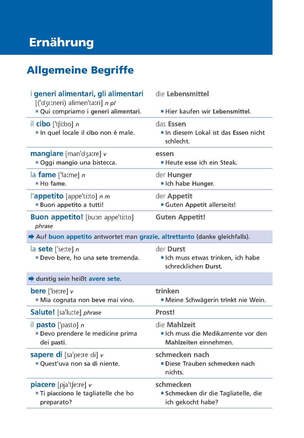 Bild: 9783125635647 | Langenscheidt Grundwortschatz Italienisch | Taschenbuch | 208 S.