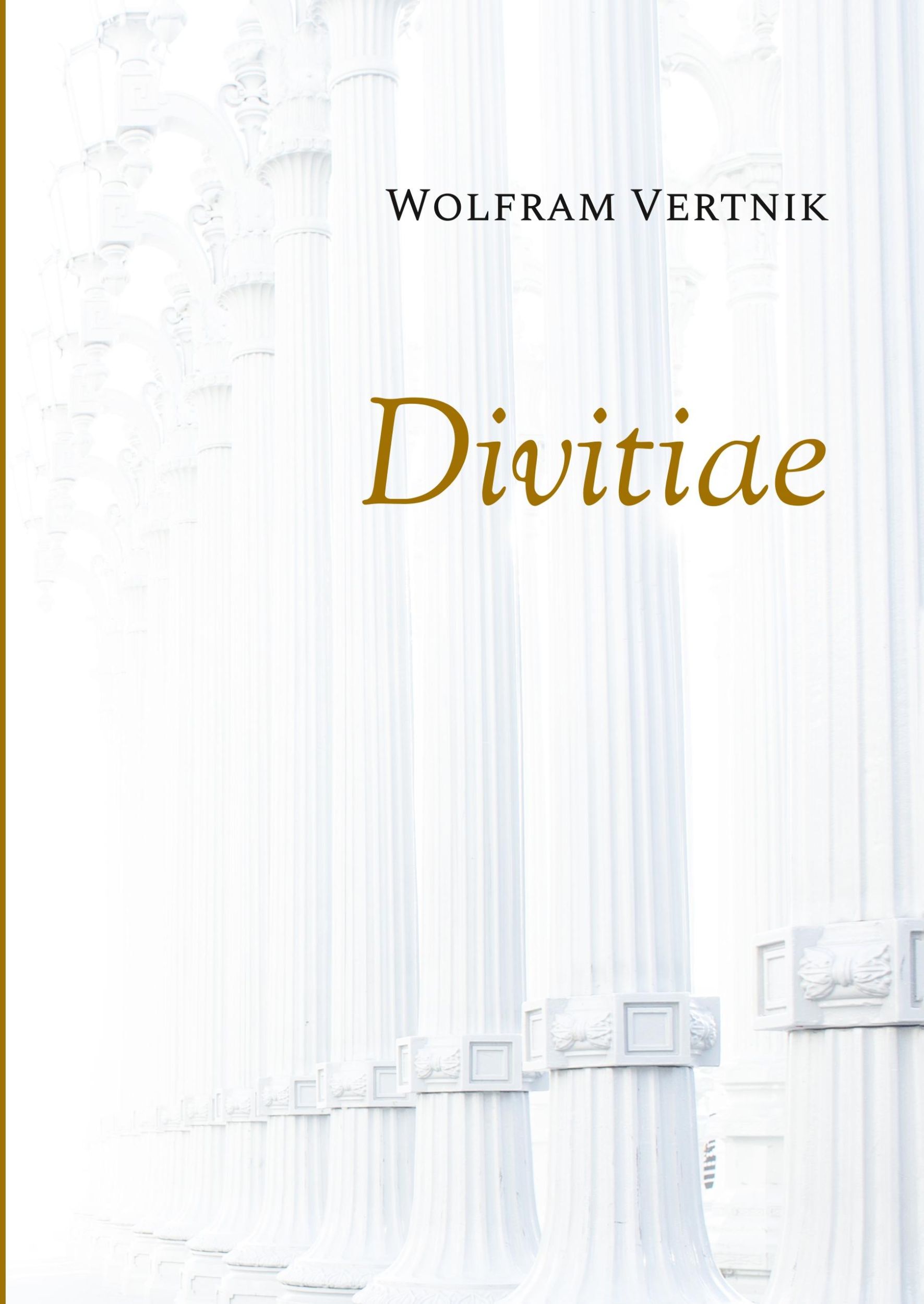 Cover: 9783752824988 | Divitiae | Prinzipien des finanziellen Wohlstands | Wolfram Vertnik