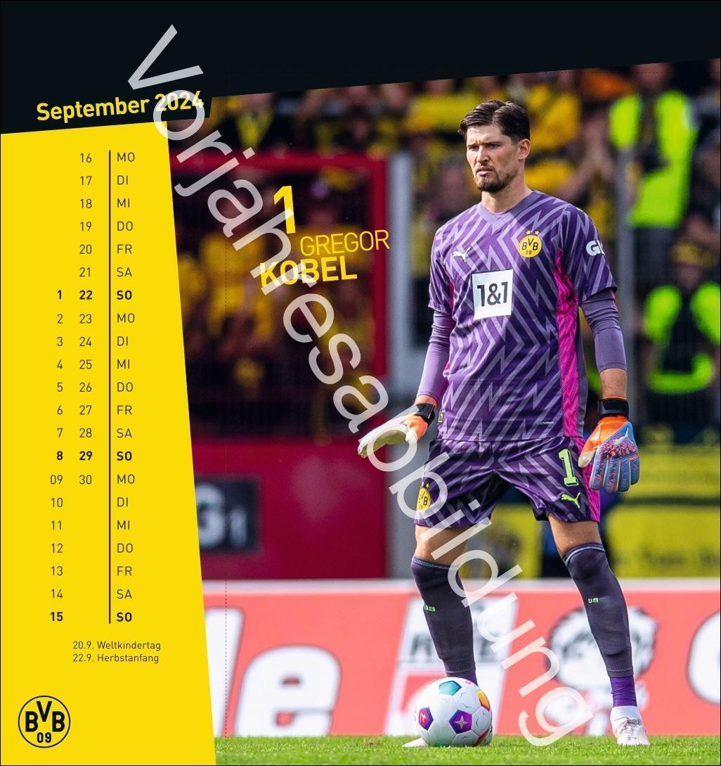 Bild: 9783756405473 | BVB Postkartenkalender 2025 | Heye | Kalender | Spiralbindung | 13 S.