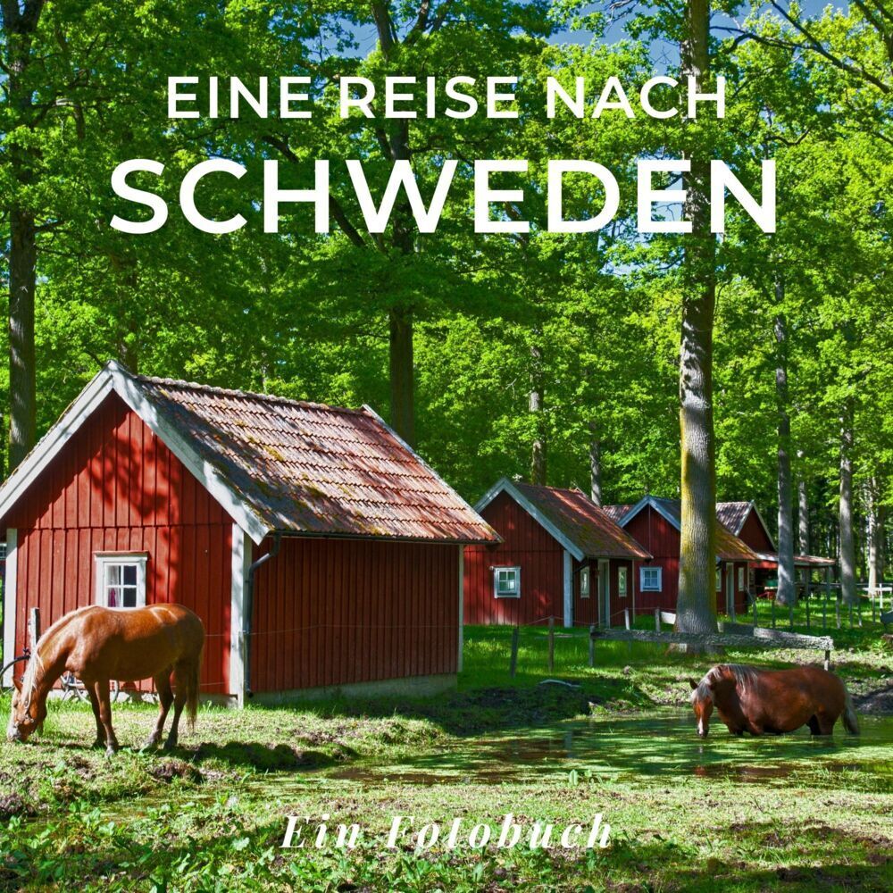 Cover: 9783750518209 | Eine Reise nach Schweden | Tania Sardí | Taschenbuch | 42 S. | Deutsch