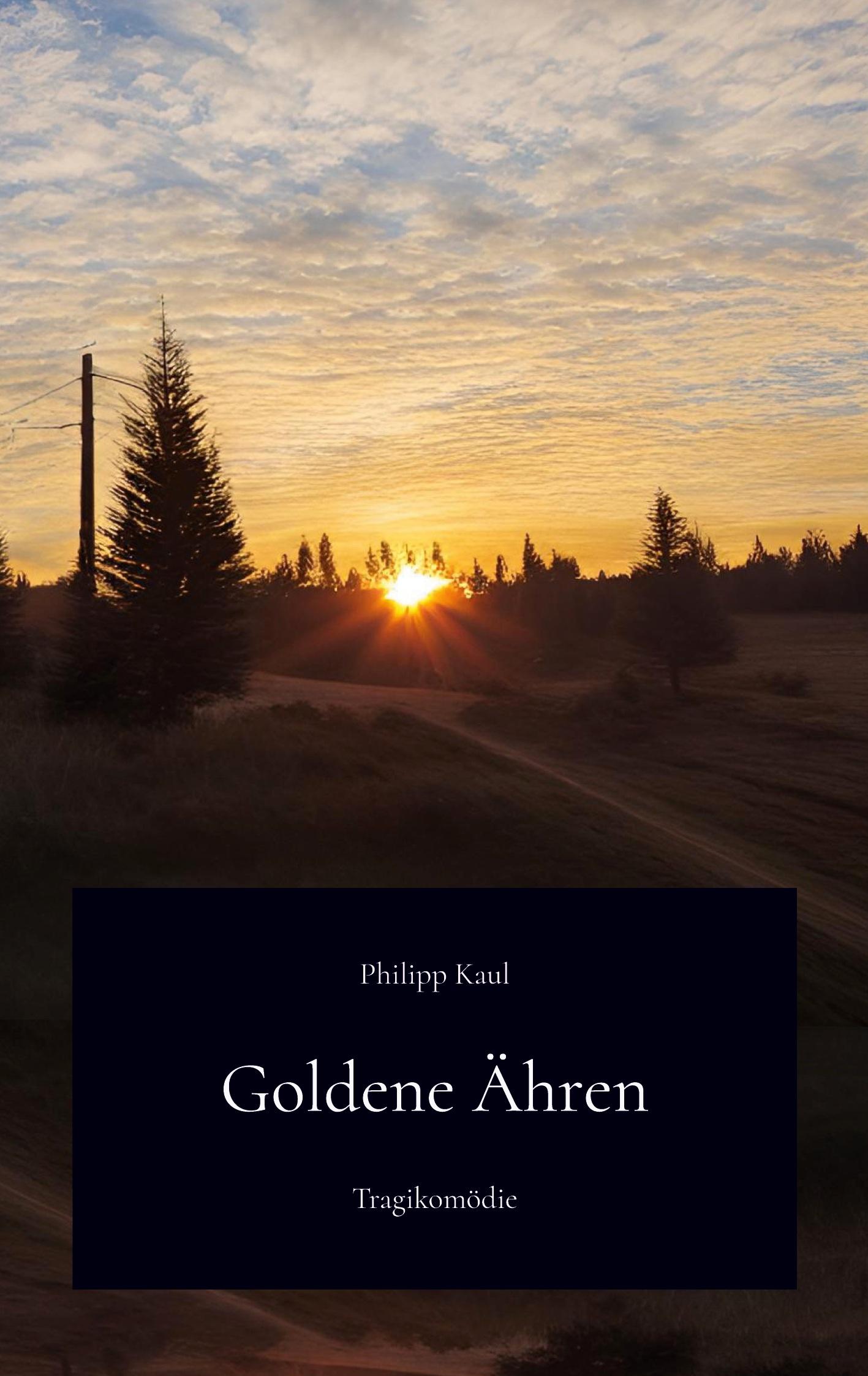 Cover: 9783769321647 | Goldene Ähren | Philipp Kaul | Taschenbuch | Deutsch | 2024