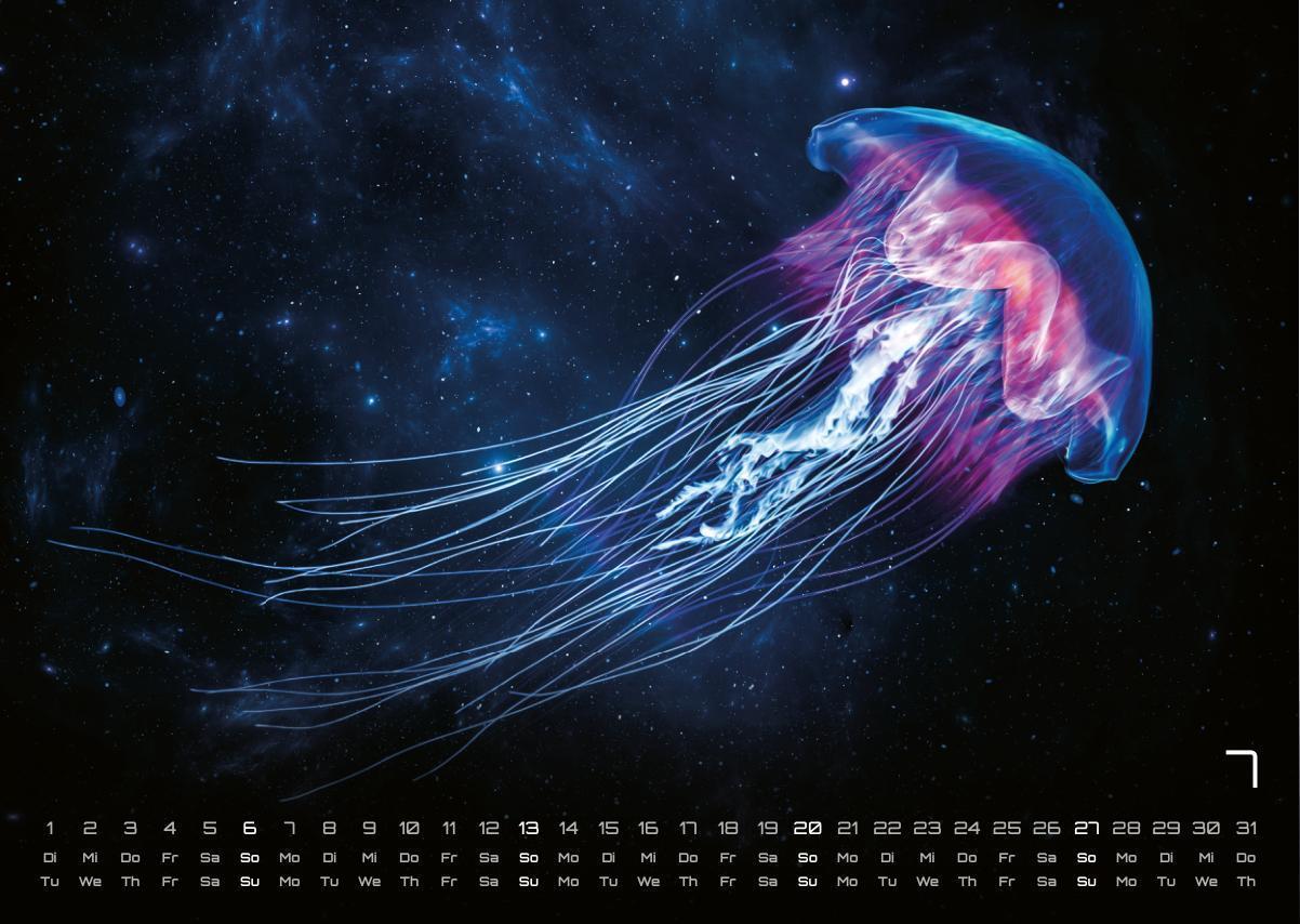 Bild: 9783986734305 | Sealife - verborgene Tiefen - 2025 - Kalender DIN A3 | GP-Fever. de