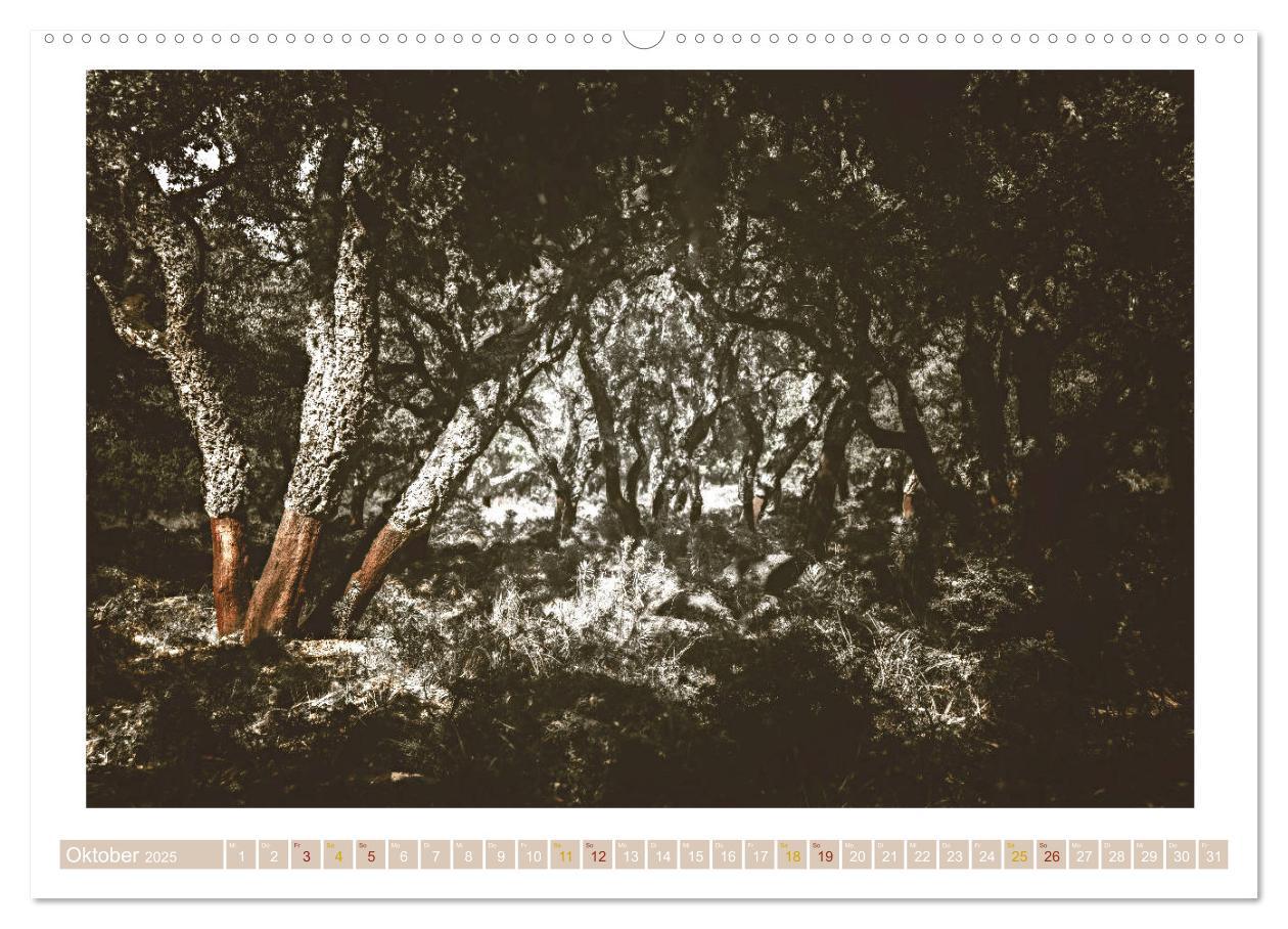 Bild: 9783435419531 | Sardinien Impressionen (Wandkalender 2025 DIN A2 quer), CALVENDO...