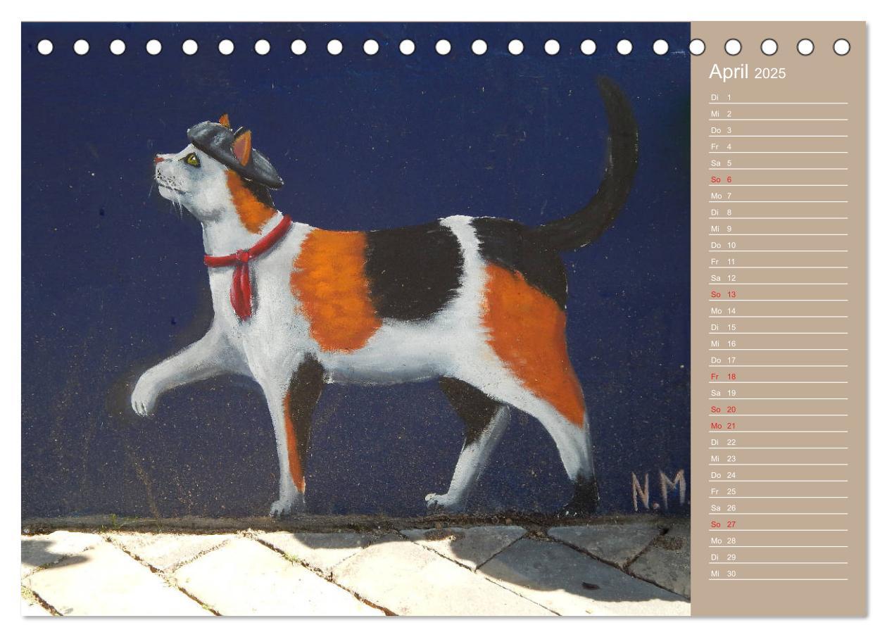 Bild: 9783435289288 | Flensburger Katzen (Tischkalender 2025 DIN A5 quer), CALVENDO...