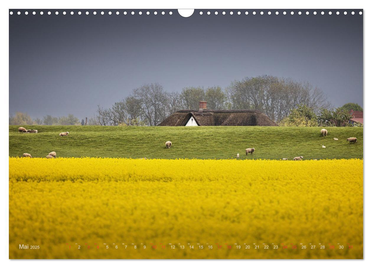 Bild: 9783383951596 | Wunderschönes Eiderstedt (Wandkalender 2025 DIN A3 quer), CALVENDO...