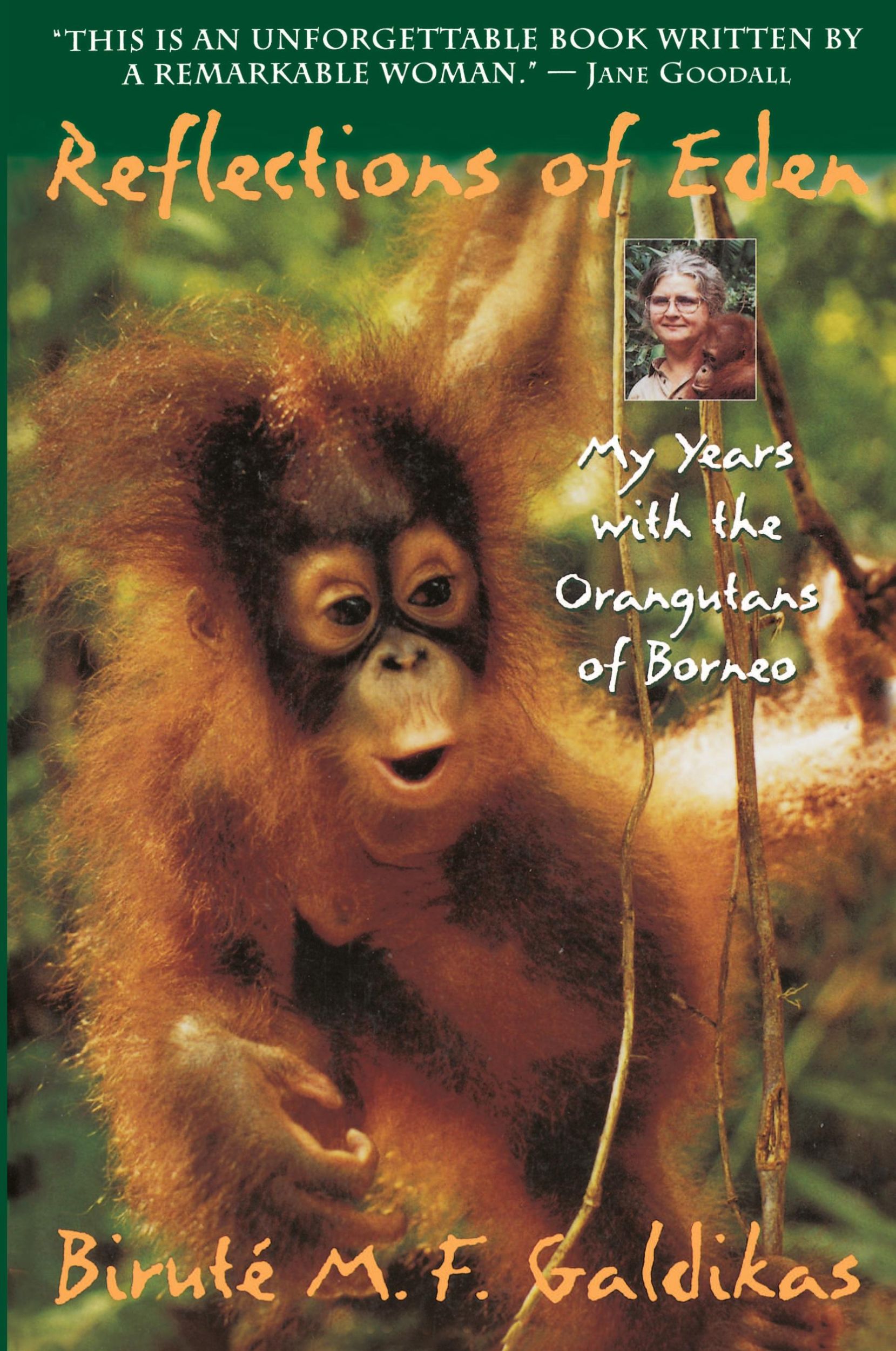 Cover: 9780316301862 | Reflections of Eden | My Years with the Orangutans of Borneo | Buch