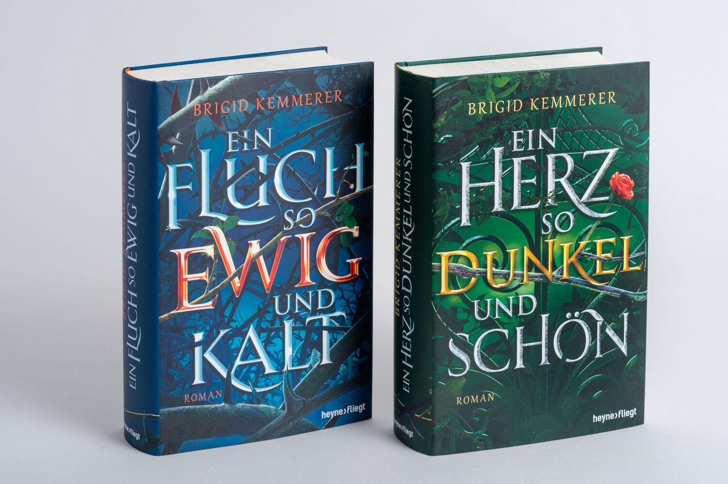 Bild: 9783453272538 | Ein Herz so dunkel und schön | Roman | Brigid Kemmerer | Buch | 544 S.