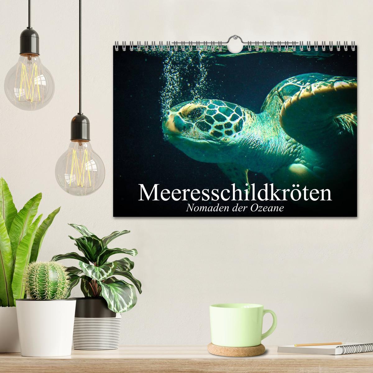 Bild: 9783435589357 | Meeresschildkröten. Nomaden der Ozeane (Wandkalender 2025 DIN A4...