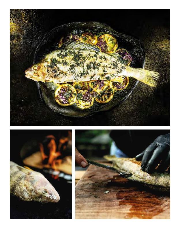 Bild: 9783966643856 | Wild gegrillt | Tom Heinzle | Buch | Deutsch | 2022 | Heel Verlag GmbH